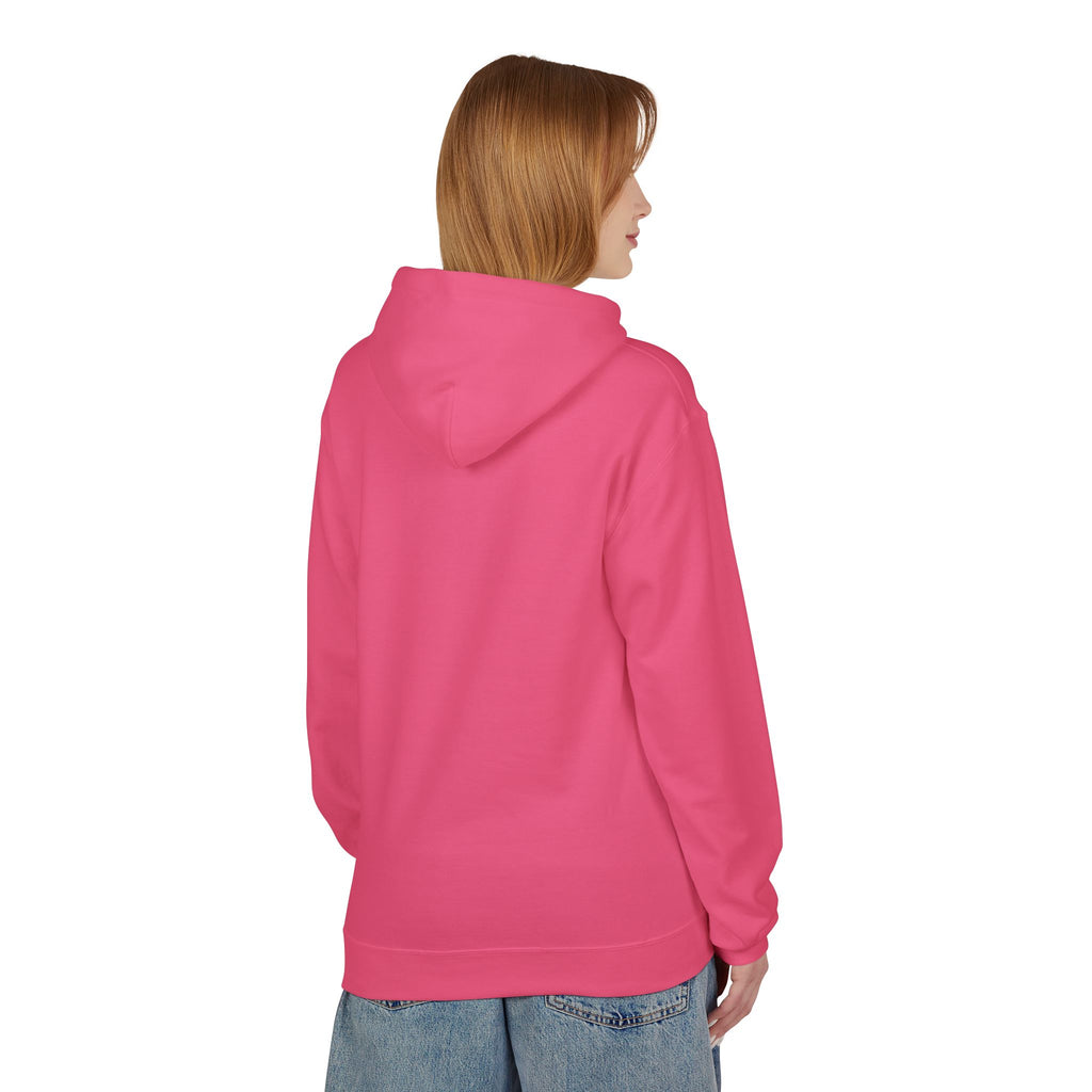 Cleaning up America  Pullover